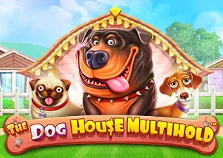 สล็อต 888 เว็บตรง 123 The Dog House Multihold ทดลองเล่นฟรี